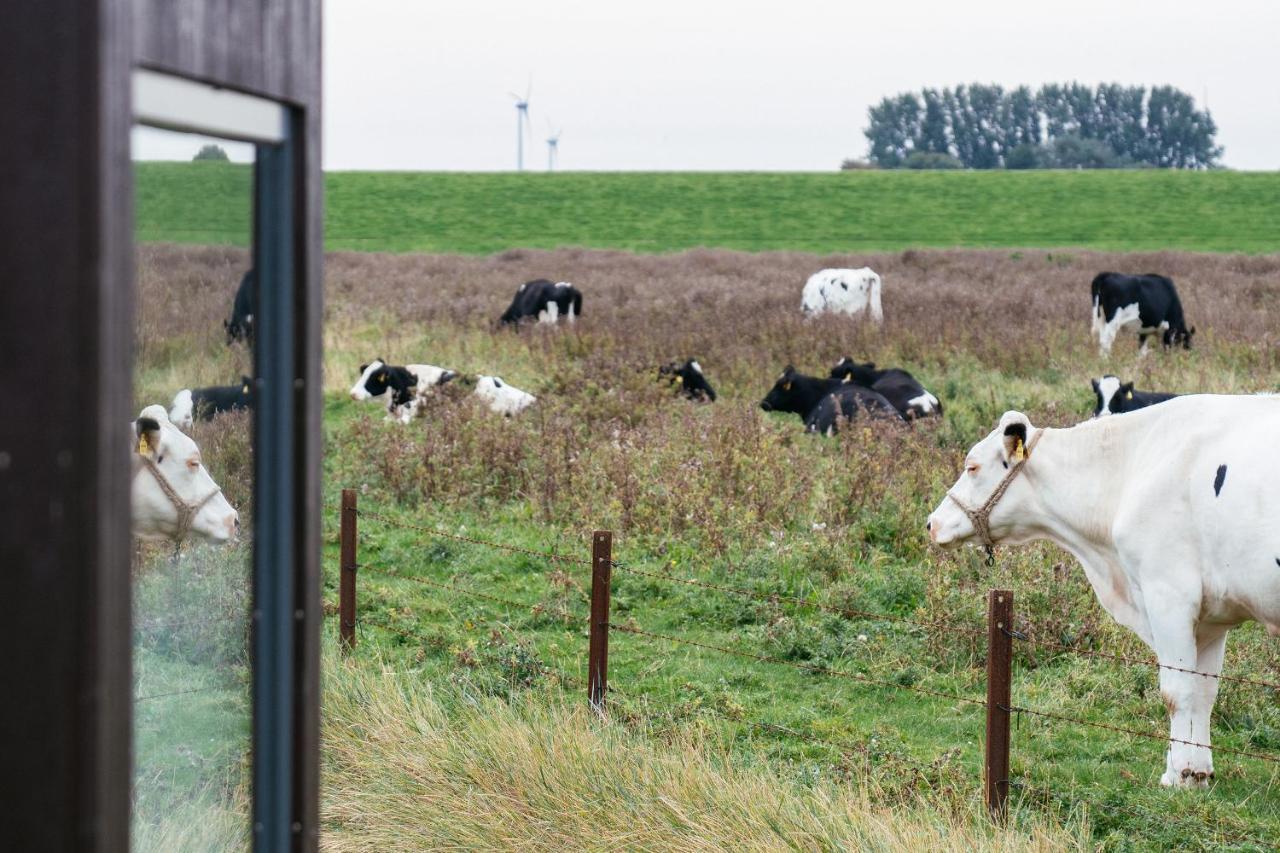 Tiny House Nature 13 Zur Kuhweide - Green Tiny Village Harlesiel Carolinensiel Bagian luar foto